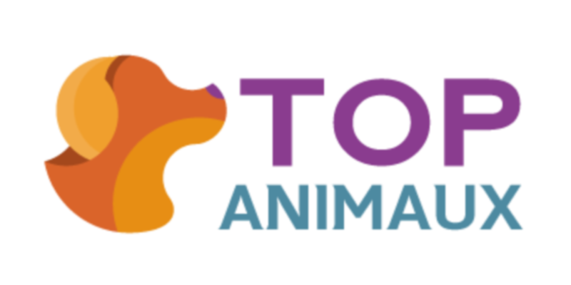 Top Animaux
